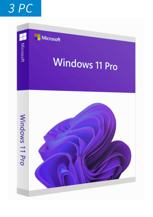 Windows 11 Pro--3PC